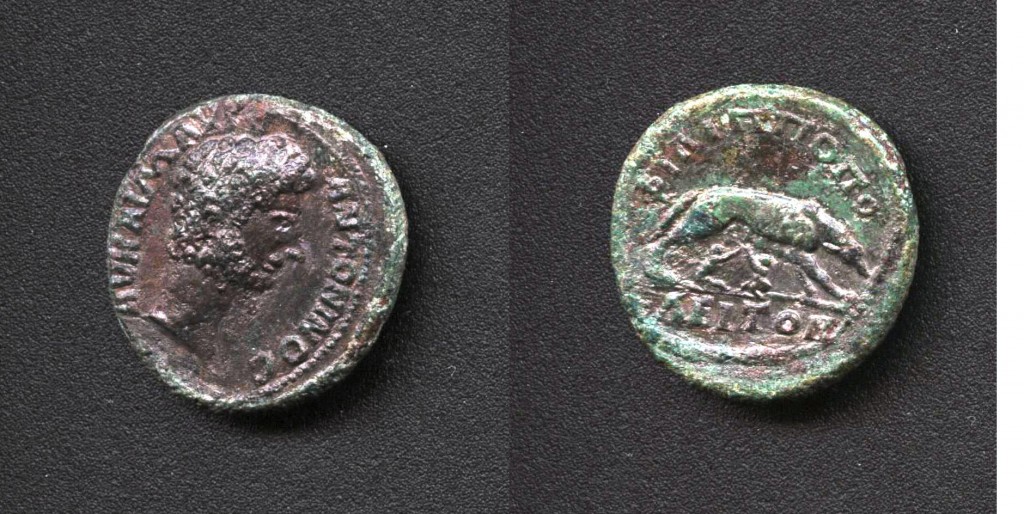 (№ ……) 6.1. МАРК АВРЕЛИЙ (161 - 169г. сл.Хр.)
АЕ 24; 8,0гр.
А. АV КАІ М АVР..АNТОNINОС (глава на императора надясно)
R. ΦΙΛΙΠΠΟПОΛЕІТΩΝ (Вълчица надясно, кърмеща Ромул и Рем)
!Забележка: За сравнение вж. Иван Върбанов „Гръцки императорски монети”, Изд. „Адиком”, Бургас 2002г., т.ІІІ, кат № 836, тук диаметърът е по-голям